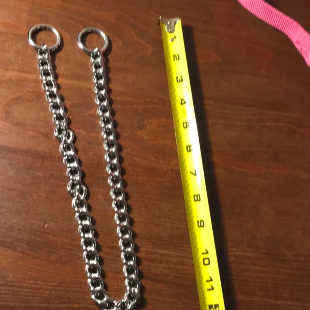 Dog Choke Collar NWOT